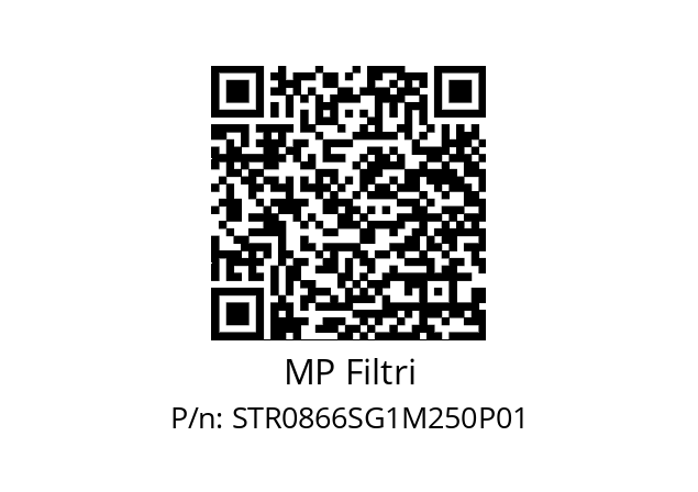  STR-086-6-S-G1-M250-P01 MP Filtri STR0866SG1M250P01