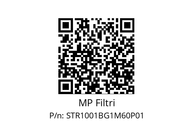  STR-100-1-B-G1-M60-P01 MP Filtri STR1001BG1M60P01