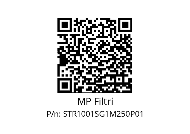  STR-100-1-S-G1-M250-P01 MP Filtri STR1001SG1M250P01