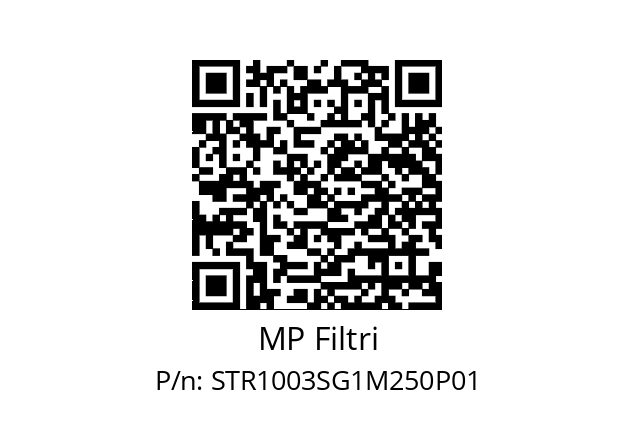  STR-100-3-S-G1-M250-P01 MP Filtri STR1003SG1M250P01