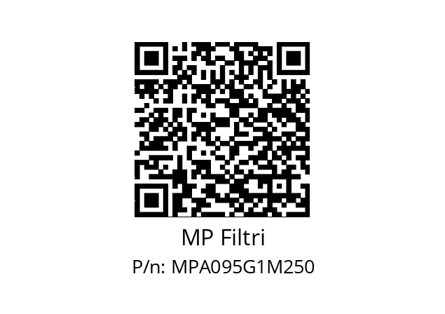  MPA-095-G1-M250 MP Filtri MPA095G1M250