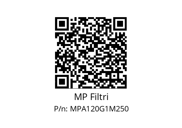  MPA-120-G1-M250 MP Filtri MPA120G1M250