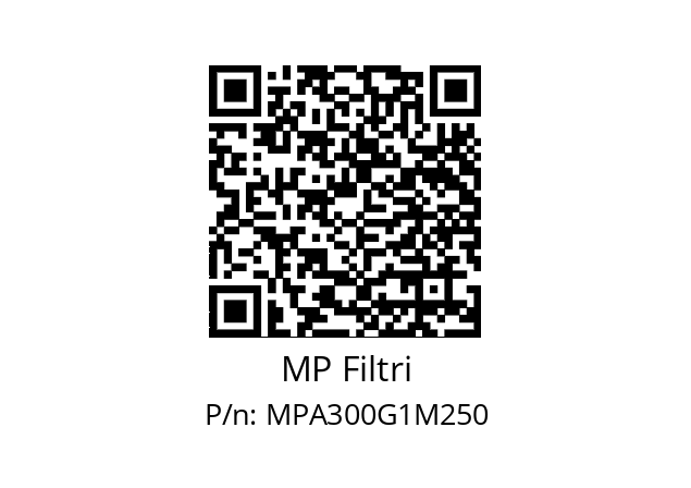  MPA-300-G1-M250 MP Filtri MPA300G1M250