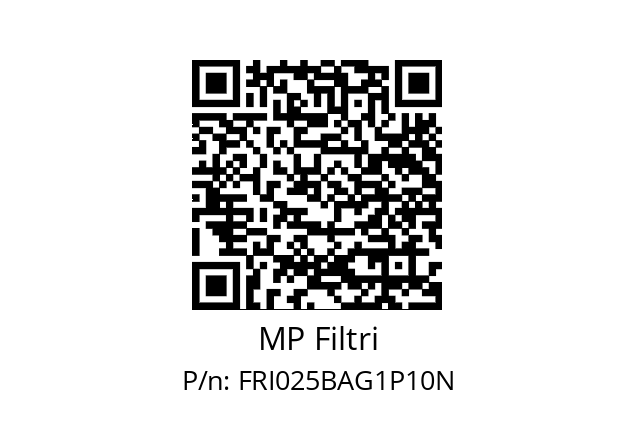  FRI-025-B-A-G1-P10-N-P01 MP Filtri FRI025BAG1P10N