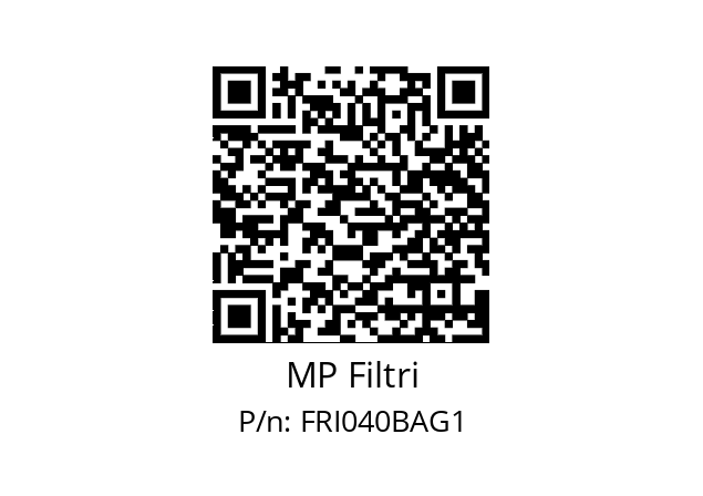  FRI-040-B-A-G1-XXX-P01 MP Filtri FRI040BAG1