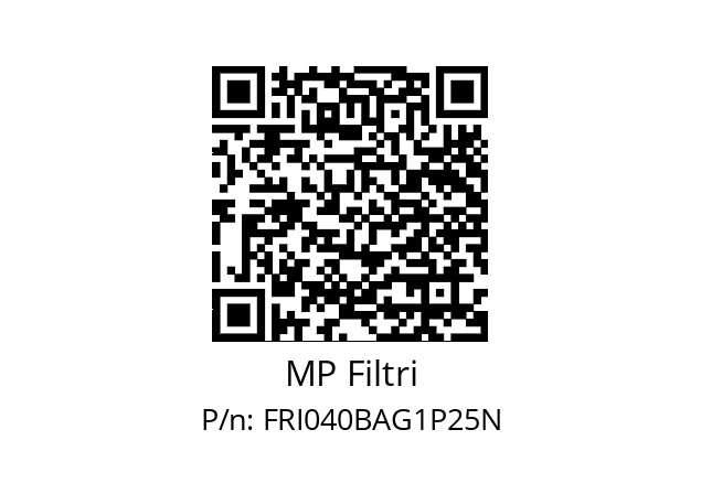  FRI-040-B-A-G1-P25-N-P01 MP Filtri FRI040BAG1P25N