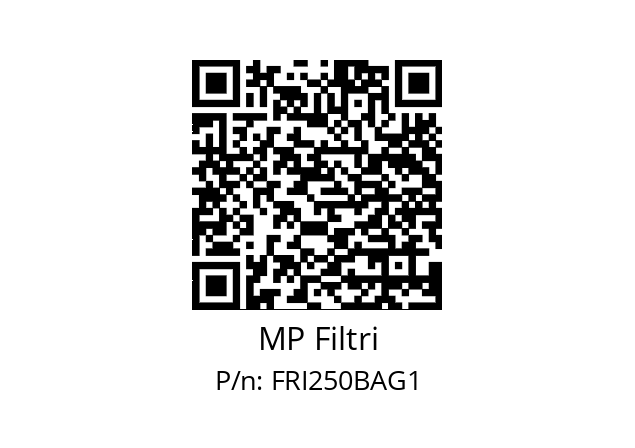  FRI-250-B-A-G1-XXX-P01 MP Filtri FRI250BAG1