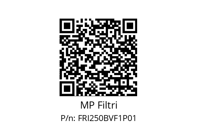  FRI-250-B-V-F1-XXX-P01 MP Filtri FRI250BVF1P01