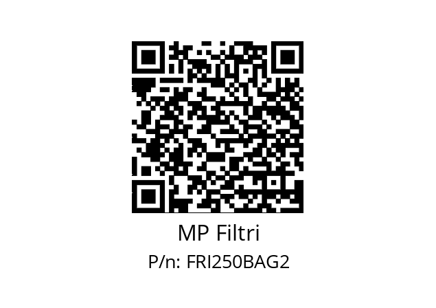  FRI-250-B-A-G2-XXX-P01 MP Filtri FRI250BAG2