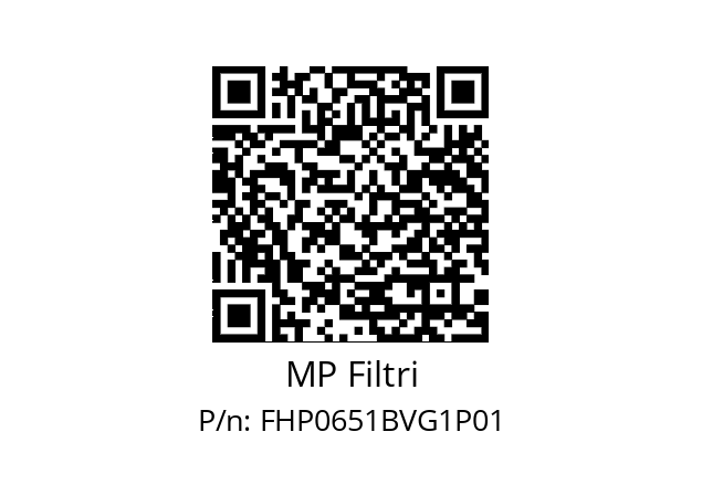  FHP-065-1-B-V-G1-XXX-S MP Filtri FHP0651BVG1P01