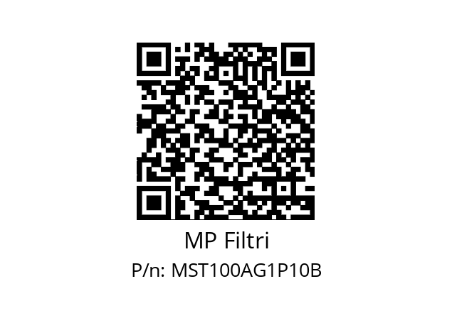  MST-100-A-G1-P10-B-T MP Filtri MST100AG1P10B