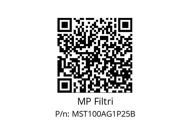  MST-100-A-G1-P25-B-T MP Filtri MST100AG1P25B