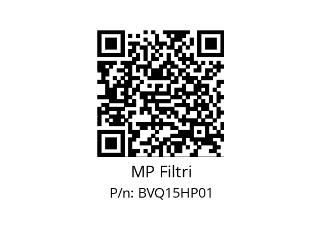  BV-Q-15-H-P01 MP Filtri BVQ15HP01