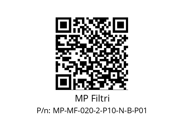   MP Filtri MP-MF-020-2-P10-N-B-P01