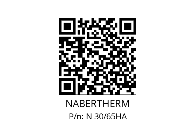   NABERTHERM N 30/65HA