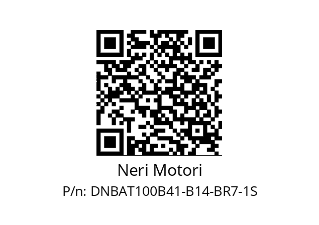   Neri Motori DNBAT100B41-B14-BR7-1S