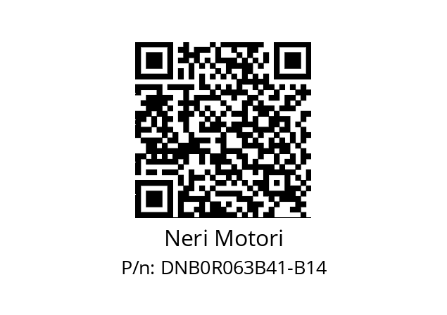   Neri Motori DNB0R063B41-B14