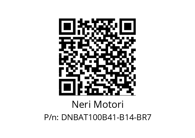   Neri Motori DNBAT100B41-B14-BR7