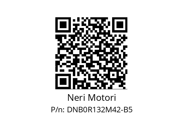   Neri Motori DNB0R132M42-B5