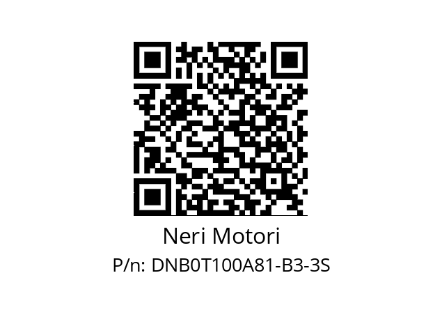   Neri Motori DNB0T100A81-B3-3S