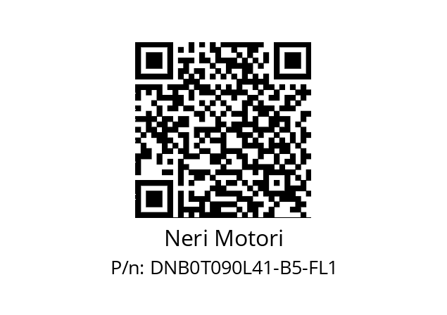   Neri Motori DNB0T090L41-B5-FL1