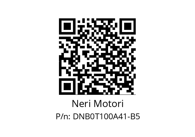   Neri Motori DNB0T100A41-B5