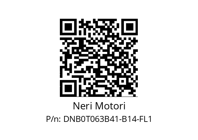   Neri Motori DNB0T063B41-B14-FL1