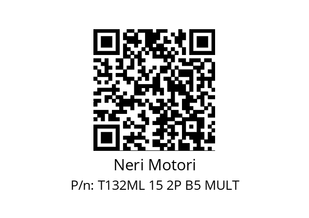   Neri Motori T132ML 15 2P B5 MULT