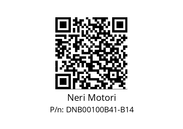   Neri Motori DNB00100B41-B14