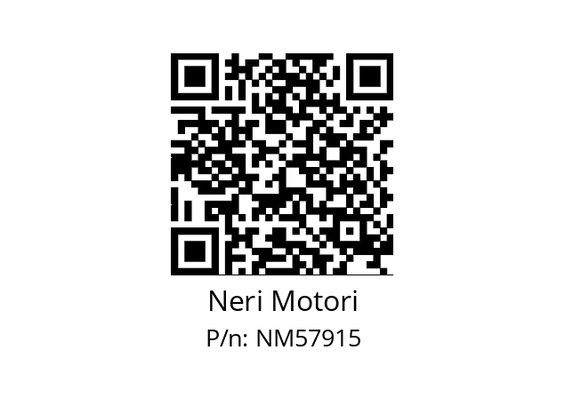   Neri Motori NM57915