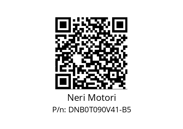   Neri Motori DNB0T090V41-B5