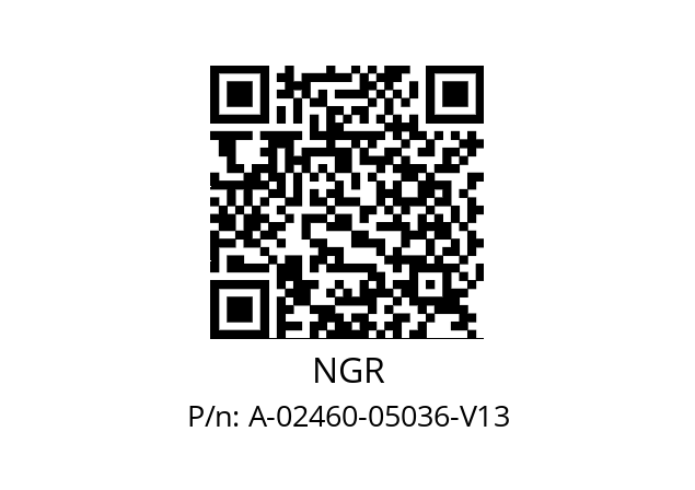   NGR A-02460-05036-V13