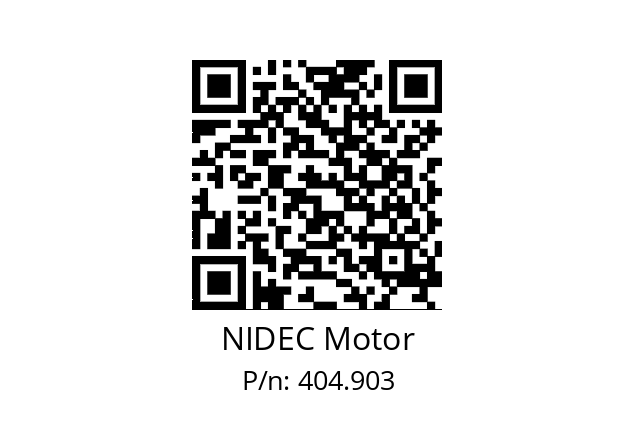   NIDEC Motor 404.903