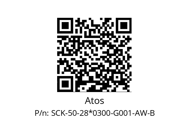   Atos SCK-50-28*0300-G001-AW-B