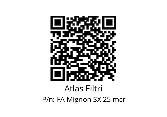   Atlas Filtri FA Mignon SX 25 mcr