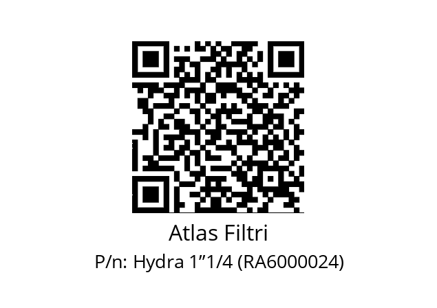   Atlas Filtri Hydra 1”1/4 (RA6000024)