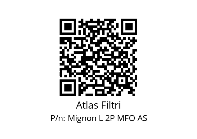   Atlas Filtri Mignon L 2P MFO AS