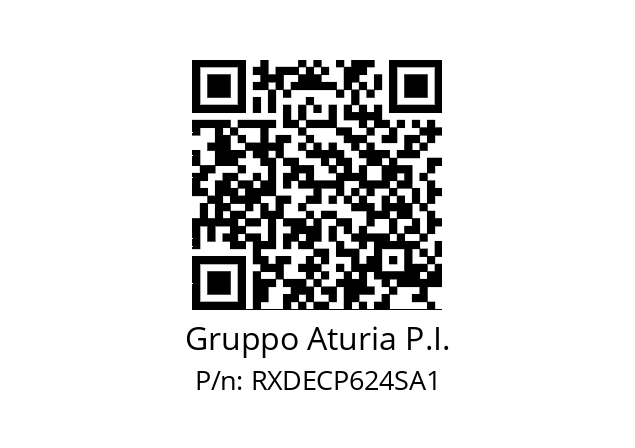   Gruppo Aturia P.I. RXDECP624SA1