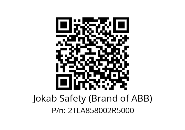   Jokab Safety (Brand of ABB) 2TLA858002R5000