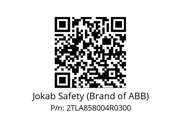   Jokab Safety (Brand of ABB) 2TLA858004R0300