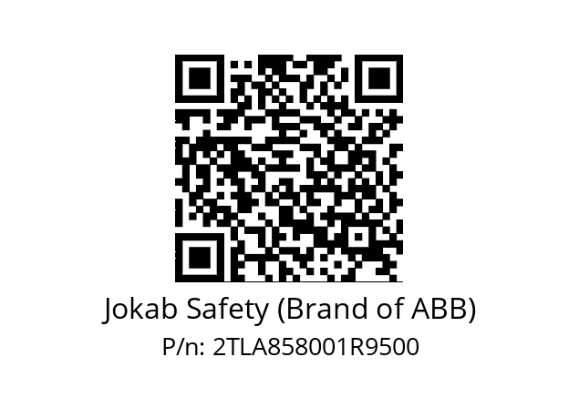   Jokab Safety (Brand of ABB) 2TLA858001R9500