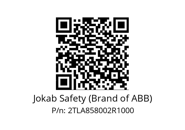   Jokab Safety (Brand of ABB) 2TLA858002R1000