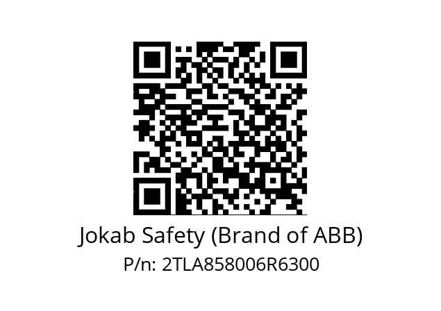   Jokab Safety (Brand of ABB) 2TLA858006R6300