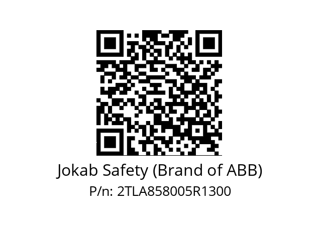   Jokab Safety (Brand of ABB) 2TLA858005R1300