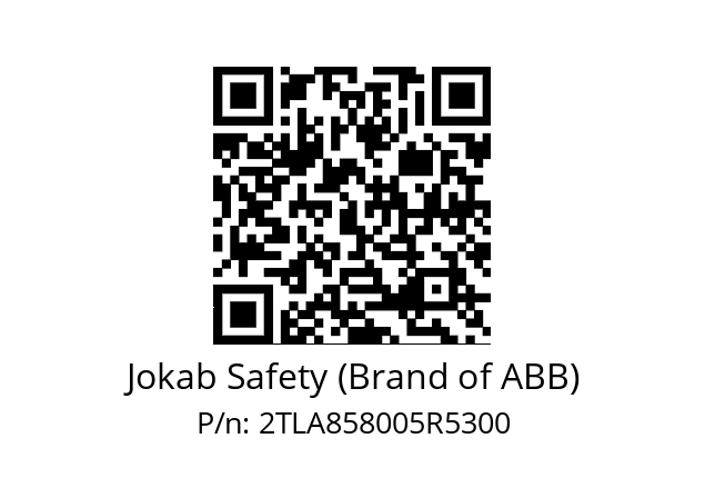   Jokab Safety (Brand of ABB) 2TLA858005R5300