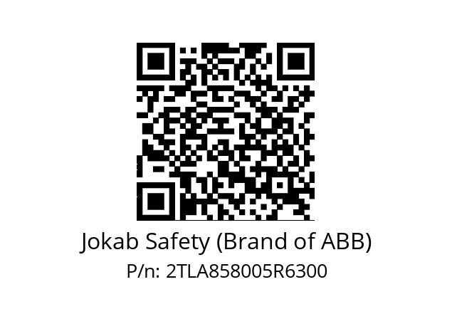   Jokab Safety (Brand of ABB) 2TLA858005R6300