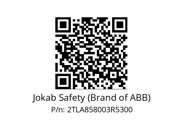   Jokab Safety (Brand of ABB) 2TLA858003R5300