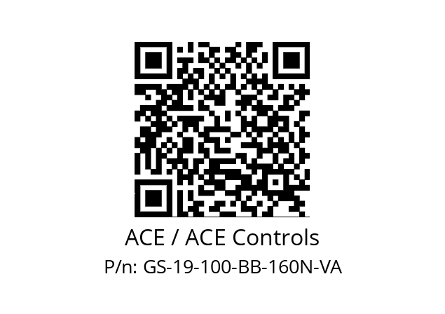   ACE / ACE Controls GS-19-100-BB-160N-VA