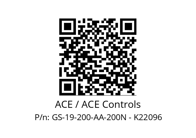   ACE / ACE Controls GS-19-200-AA-200N - K22096