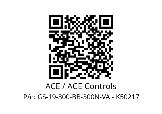   ACE / ACE Controls GS-19-300-BB-300N-VA - K50217